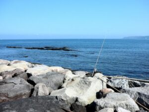 家族で釣り_磯で釣る