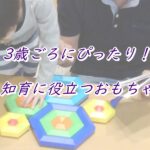 3歳ごろの知育に役立つおもちゃはこれ！お誕生日プレゼントや発達のサポートに