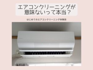 エアコンクリーニングが意味ないなんて嘘！人生で初めてエアコン洗浄をプロに依頼しました