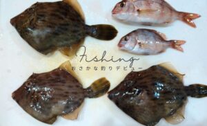 家族で釣りを始めます！小さい子どもたちと楽しめるのは、どんな釣りの種類なの？