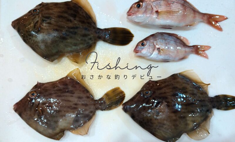 家族で釣りを始めます!小さい子どもたちと楽しめるのは、どんな釣りの種類なの?